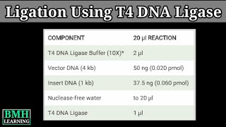 Ligation Using T4 DNA Ligase [upl. by Kate]