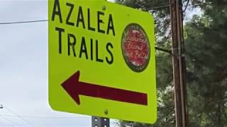 Azalea amp Spring Flower Trail Driving Tour [upl. by Nissensohn]