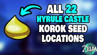 ALL 22 Hyrule Castle Korok Seed Locations in Zelda Tears of the Kingdom STEPBYSTEP [upl. by Dallis]