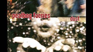 Peatbog Faeries  The Naughty Step [upl. by Elleda]