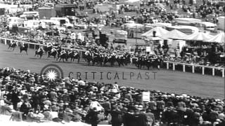 Thoroughbred horse Psidium wins the Epsom Derby at Epsom Downs Racecourse in EpsoHD Stock Footage [upl. by Eirehc]