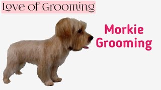 Grooming a Morkie  Yorkie Maltese Mix [upl. by Leizahaj158]