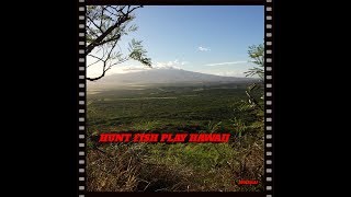 RIFLE HUNTING HAWAII [upl. by Johanan]