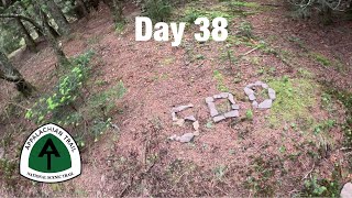 Day 38  Grayson Highlands State Park  Appalachian Trail 2024 [upl. by Dorr]