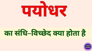 पयोधर का संधि विच्छेद । payodhar ka sandhi vichchhed । payodhar ka sandhi vichchhed kya hota hai [upl. by Holna691]