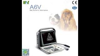 SonoScape A6v veterinary ultrasound video [upl. by Begga62]