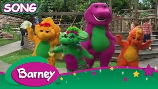 Barney  I Hear Music Everywhere SING ALONG [upl. by Nosemyaj525]