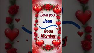 Good morning Jaan 🌹❤️ trending love shorts flower [upl. by Elicul690]