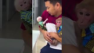 The two siblings are taken to the doctor by Dad monkey monkeybibo babymonkey funny shorts [upl. by Lipson806]