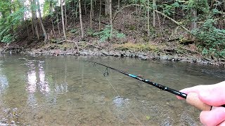 TROUT Fishing TIPS  Trout Fishing with Spinners in Creeks amp Streams [upl. by Ahtivak122]