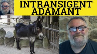 🔵 Intransigent or Adamant  Intransigent Meaning  Adamant Examples  Formal Vocabulary Intransigent [upl. by Winnifred]