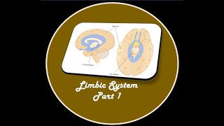 LIMBIC SYSTEM PART 1 [upl. by Drhcir]