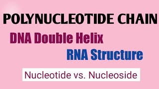 polynucleotidechain DNAdoublehelix RNAStructure of polynucleotide chain [upl. by Womack490]