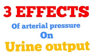 3 Factors contributing to pressure Natriusresis and Diuresis  Renal lec 105 [upl. by Yovonnda319]