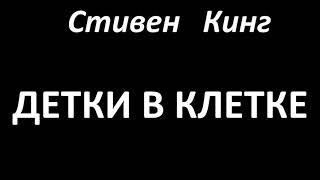 Стивен Кинг  Детки в клетке читает Руслан Медынский аудиокниги мистика [upl. by Esemaj]