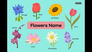 Learn Flowers Names With Spellings Flowers Vocabulary  Flowers Names flowers learningvideos [upl. by Gypsie]