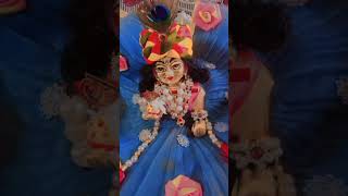 govind ka aaj ka darshanshri radhe 🙏🥰short video officiallove [upl. by Ohce391]