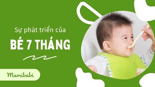 Sự Phát Triển Của Bé 7 Tháng Tuổi Bé 7 Tháng Biết Làm Gì Ăn Dặm Như Thế Nào Ăn Được Gì [upl. by Neelhtac]