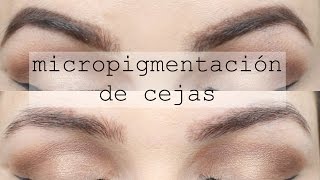 UPDATE MESES DESPUES DE LA MICROPIGMENTACION DE CEJAS [upl. by Nylloh]