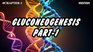 Chapter 2  Metabolism Of Carbohydrates Part4  Gluconeogenesis Coris cycles [upl. by Kessia127]