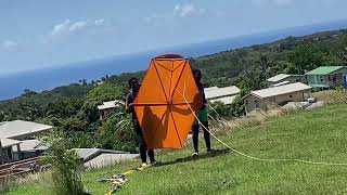 Kites in Barbados 6ft [upl. by Jaylene607]