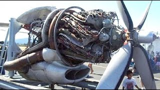 Old RADIAL ENGINES Cold Starting Up and Loud Sound 5 [upl. by Stephani]