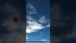 Kite flying game  short [upl. by Auos]