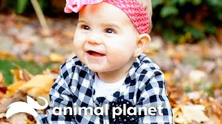 An Infant Suffers Paralysis From Infant Botulism  Monsters Inside Me  Animal Planet [upl. by Zorina]