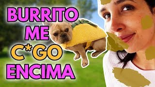 BURRITO ME CGÓ ENCIMA 🐶💩12 Ene 2019 [upl. by Colette271]