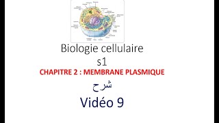 biologie cellulaire s1 vidéo 09  la membrane plasmique شرح [upl. by Kcirrek]