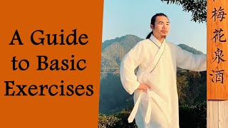 Tai Chi for Beginners A Gentle Path to Fitness and Wellness [upl. by Oneill9]