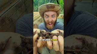 So I started a WORM FARM 🪱 Part 5 shorts fishing worms [upl. by Geerts]