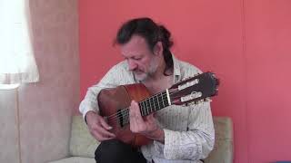 apprendre la rumba catalane facilement jouer à la guitare cours de flamenco 001 [upl. by Alvarez183]