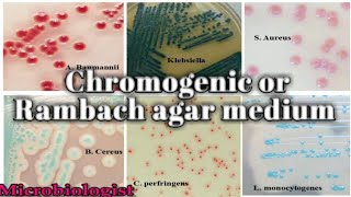 Chromogenic or Rambach agar medium culture media lecture 25 [upl. by Nowell]