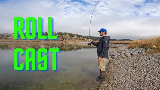 ROLL CAST  fly fishing [upl. by Seline]