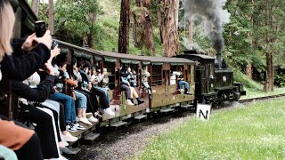 Dangling Legs on Puffing Billy A Fun and Scenic Ride on Australia’s Heritage Steam Train [upl. by Anoi]