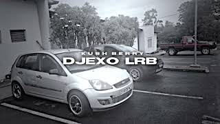 Djexo Lrb ✘ Ronisia  Problème ft CKay REMIX REGGAE Z0Z3 [upl. by Zaraf515]