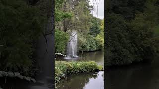 Sefton park Liverpool uk millionsubscribers viralvideo lovephotography subscribe follow [upl. by Alidus]