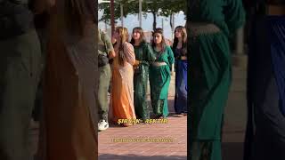 ŞIRNAK DÜĞÜNLERİ düğün şirnakdüğünleri halay halaybaşı wedding kurdishdance shortvideo live [upl. by Aralc]