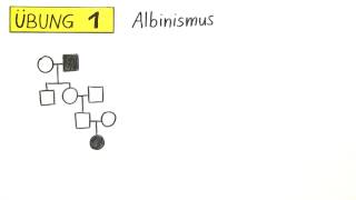 Erstellung und Analyse des Stammbaums  Übung  Biologie  Genetik [upl. by Janice583]