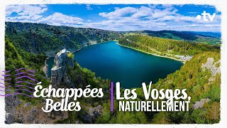 Les Vosges naturellement  Échappées belles [upl. by Ian]