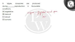 In algae zoospores are produced duringreproduction in favourable conditions [upl. by Ahsitnauq]