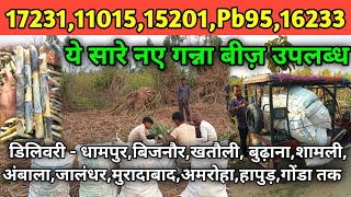 172311101515201Pb9516233 ये सारे नए गन्ना बीज़ सबसे कम रेट में उपलब्ध  new ganna variety [upl. by Nosdrahcir]