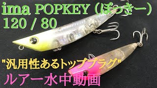 【ポッキー：アイマ】水中映像 「ima popkey 120  80」 ルアー水中動画 [upl. by Letreece]