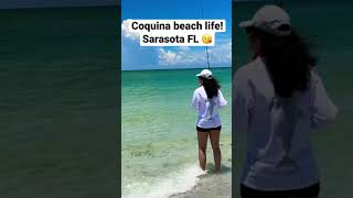 Fishing at Coquina Beach in Sarasota Florida fishing endless summer Sarasota Florida sublime [upl. by Ymeraj484]