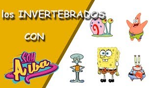 Los animales INVERTEBRADOS para niños primaria con Bob Esponja [upl. by Akinorev]