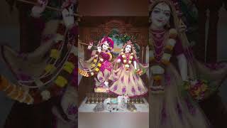 Saanware aijaiyo 🌸🌿🌸🙏🏻jaishriradhe harekrishna radheradhe radheshyam jaishrishyam shrijikripa [upl. by Joon470]