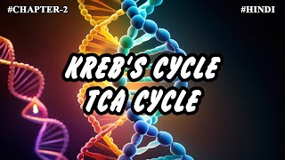 Chapter 2  Metabolism Of Carbohydrates Part3  Krebs cycle TCA cycle [upl. by Wanda393]