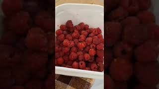 Very Simple Raspberry Preservation farming gardening garden [upl. by Previdi637]