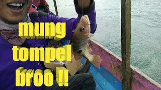 ikan tompel bagang  babaraan  kalimantan fishing [upl. by Eicyal398]